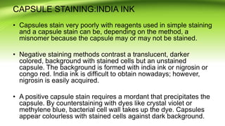 CAPSULE STAINING:INDIA INK
• Capsules stain very poorly with reagents used in simple staining
and a capsule stain can be, depending on the method, a
misnomer because the capsule may or may not be stained.
• Negative staining methods contrast a translucent, darker
colored, background with stained cells but an unstained
capsule. The background is formed with india ink or nigrosin or
congo red. India ink is difﬁcult to obtain nowadays; however,
nigrosin is easily acquired.
• A positive capsule stain requires a mordant that precipitates the
capsule. By counterstaining with dyes like crystal violet or
methylene blue, bacterial cell wall takes up the dye. Capsules
appear colourless with stained cells against dark background.
 