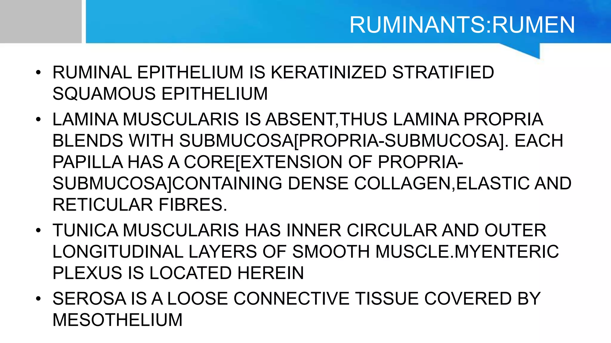 veterinary histology | PPTX