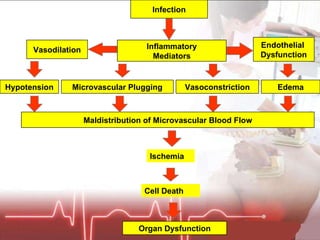 Infection Inflammatory Mediators Endothelial  Dysfunction Vasodilation Hypotension Vasoconstriction Edema Maldistribution of Microvascular Blood Flow Organ Dysfunction Microvascular Plugging Ischemia Cell Death 
