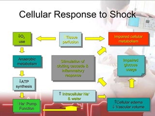 Cellular Response to Shock Tissue perfusion Na +  Pump Function ATP synthesis Anaerobic metabolism Cellular edema    Vascular volume Impaired cellular metabolism O 2   use    Intracellular Na + & water Impaired  glucose  usage Stimulation of  clotting cascade &  inflammatory response 