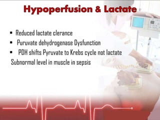 Reduced lactate clerance  Puruvate dehydrogenase Dysfunction  PDH shifts Pyruvate to Krebs cycle not lactate  Subnormal level in muscle in sepsis   