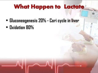 Gluconeogenesis 20% - Cori cycle in liver  Oxidation 80% 