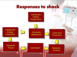 Inadequate Cellular Oxygenation Anaerobic Metabolism Metabolic Failure Metabolic Acidosis Inadequate Energy Production Lactic Acid Production Cell Death! 