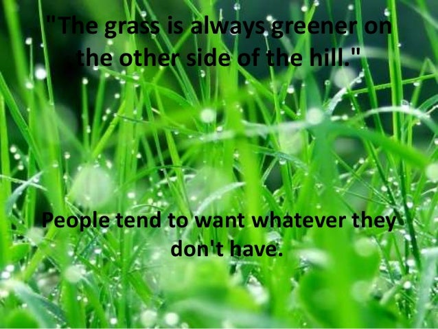 Grass Is Always Greener On The Other Side Essay Examples Txxmds