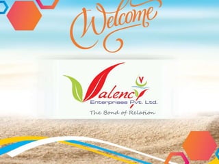 Water Purifiers and RO Plant By Valency Enterprises Pvt. Ltd, Nagpur 