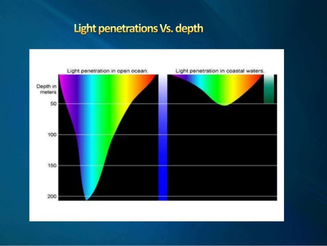 of composition seawater composition of seawater