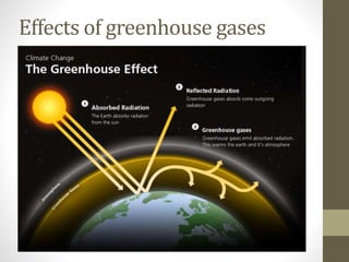 Effects of greenhouse gases