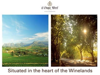 Situated in the heart of the Winelands
 