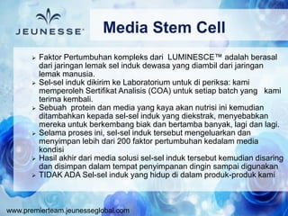 www.premierteam.jeunesseglobal.com
 Faktor Pertumbuhan kompleks dari LUMINESCE™ adalah berasal
dari jaringan lemak sel induk dewasa yang diambil dari jaringan
lemak manusia.
 Sel-sel induk dikirim ke Laboratorium untuk di periksa: kami
memperoleh Sertifikat Analisis (COA) untuk setiap batch yang kami
terima kembali.
 Sebuah protein dan media yang kaya akan nutrisi ini kemudian
ditambahkan kepada sel-sel induk yang diekstrak, menyebabkan
mereka untuk berkembang biak dan bertamba banyak, lagi dan lagi.
 Selama proses ini, sel-sel induk tersebut mengeluarkan dan
menyimpan lebih dari 200 faktor pertumbuhan kedalam media
kondisi
 Hasil akhir dari media solusi sel-sel induk tersebut kemudian disaring
dan disimpan dalam tempat penyimpanan dingin sampai digunakan
 TIDAK ADA Sel-sel induk yang hidup di dalam produk-produk kami
Media Stem Cell
 