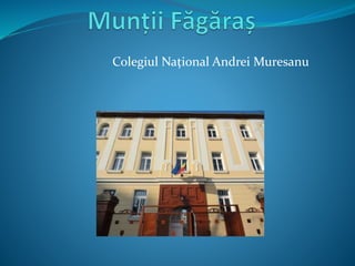 Colegiul Național Andrei Muresanu
 