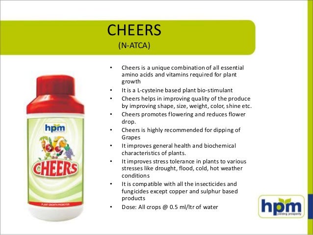 New product launches