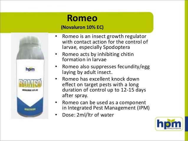 New product launches