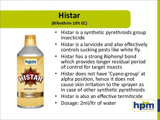 New product launches