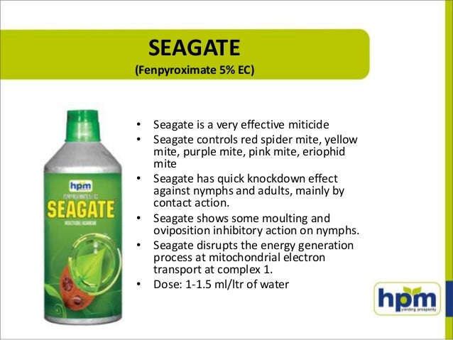 New product launches