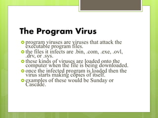 The Program Virus
 program viruses are viruses that attack the
executable program files.
 the files it infects are .bin, .com, .exe, .ovl,
.drv, or .sys.
 these kinds of viruses are loaded onto the
computer when the file is being downloaded.
 once the infected program is loaded then the
virus starts making copies of itself.
 examples of these would be Sunday or
Cascade.
 
