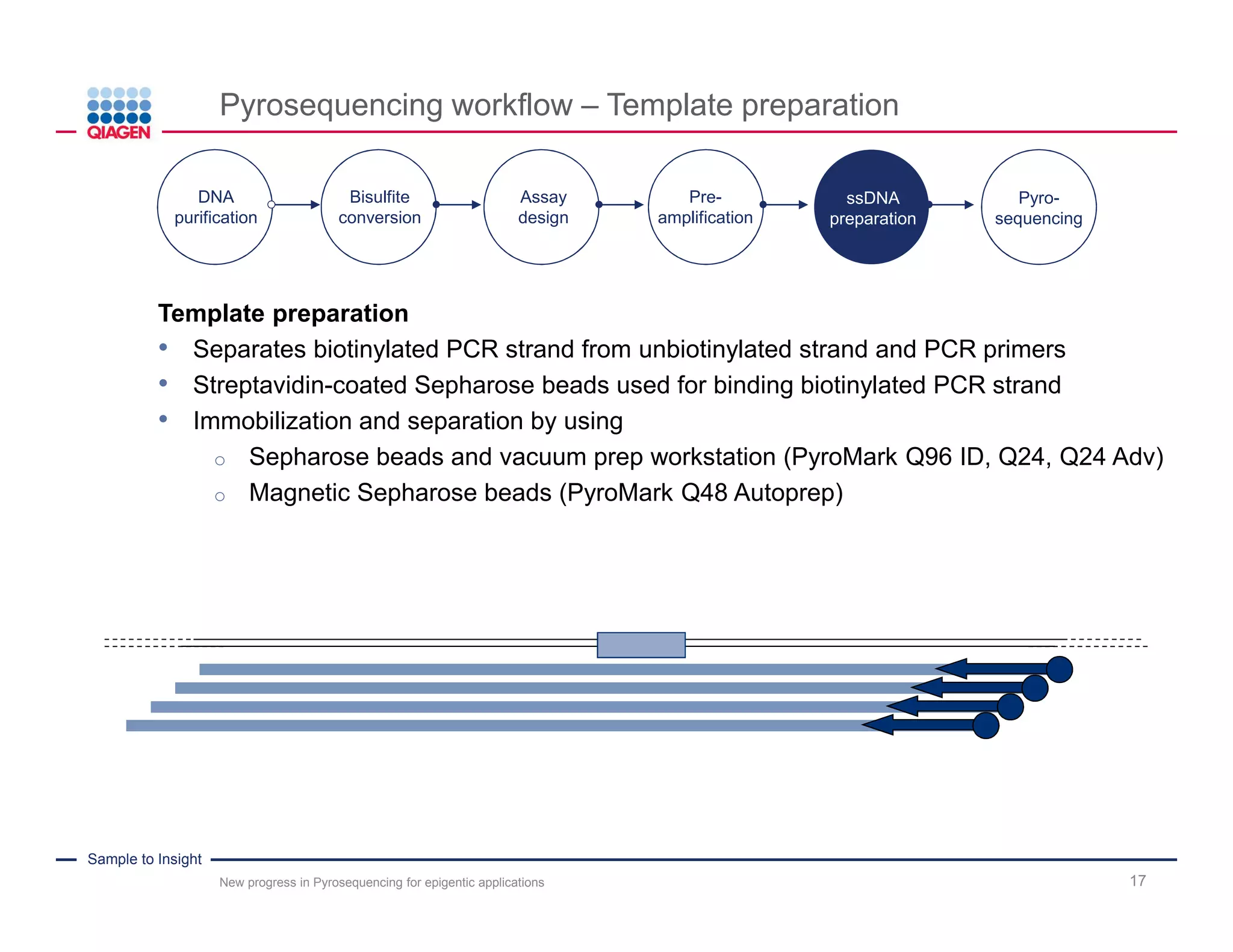 Sample to Insight
Pyrosequencing workflow – Template preparation
New progress in Pyrosequencing for epigentic applications 17
Template preparation
• Separates biotinylated PCR strand from unbiotinylated strand and PCR primers
• Streptavidin-coated Sepharose beads used for binding biotinylated PCR strand
• Immobilization and separation by using
o Sepharose beads and vacuum prep workstation (PyroMark Q96 ID, Q24, Q24 Adv)
o Magnetic Sepharose beads (PyroMark Q48 Autoprep)
DNA
purification
Bisulfite
conversion
Pre-
amplification
Assay
design
ssDNA
preparation
Pyro-
sequencing
 