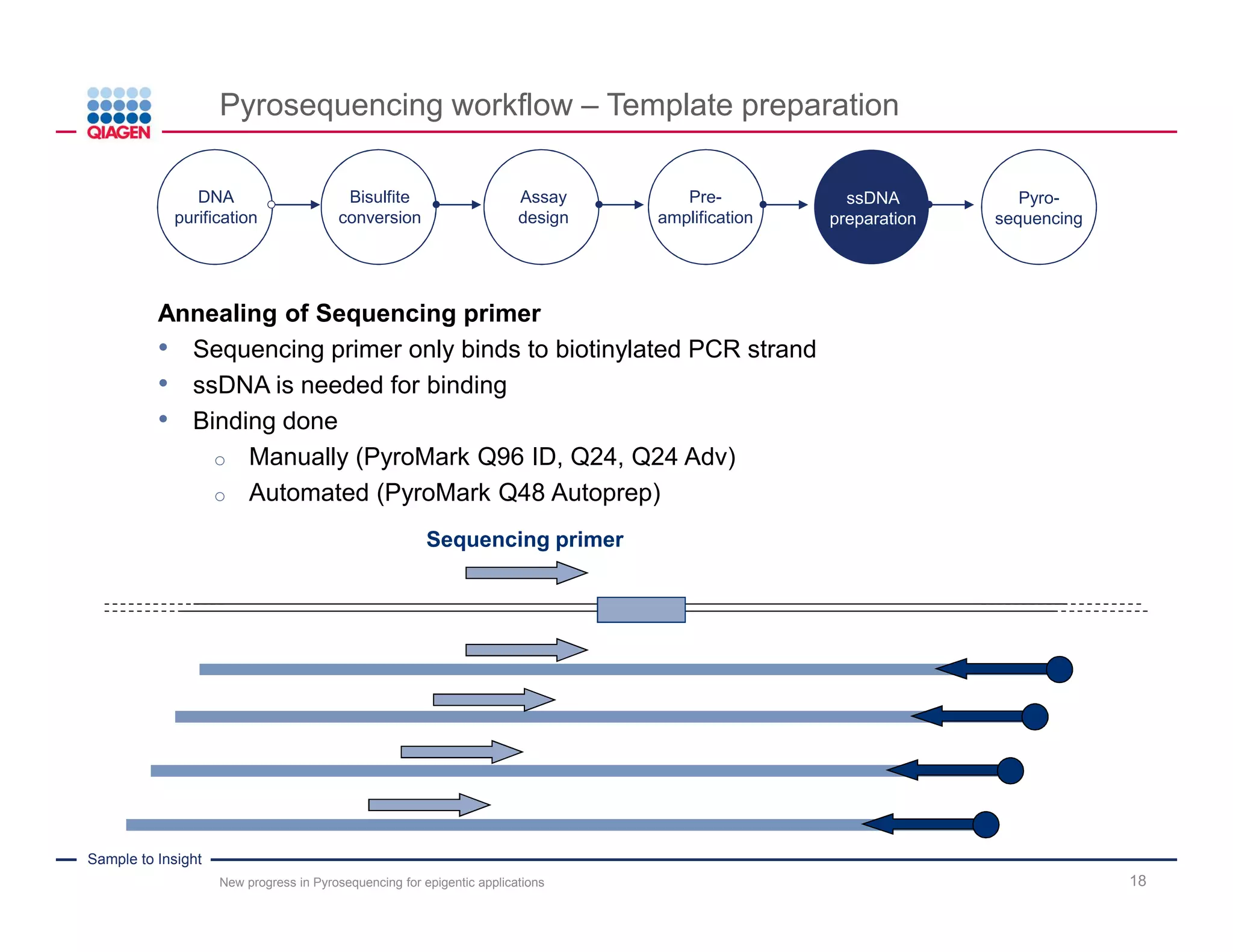 Sample to Insight
Pyrosequencing workflow – Template preparation
New progress in Pyrosequencing for epigentic applications 18
Annealing of Sequencing primer
• Sequencing primer only binds to biotinylated PCR strand
• ssDNA is needed for binding
• Binding done
o Manually (PyroMark Q96 ID, Q24, Q24 Adv)
o Automated (PyroMark Q48 Autoprep)
DNA
purification
Bisulfite
conversion
Pre-
amplification
Assay
design
ssDNA
preparation
Pyro-
sequencing
Sequencing primer
 