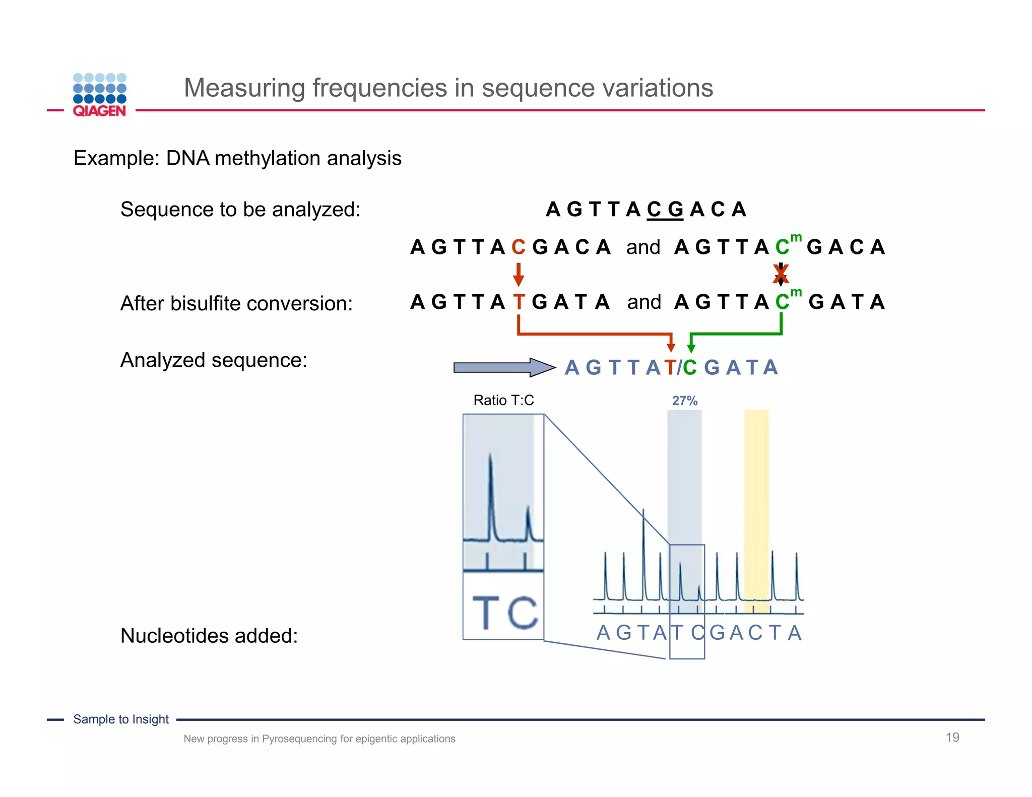 Sample to Insight
Measuring frequencies in sequence variations
New progress in Pyrosequencing for epigentic applications 19
Example: DNA methylation analysis
.A G T T A C G A C A.Sequence to be analyzed:
.After bisulfite conversion:
.A G T T A C G A C A .A G T T A C
m
G A C A.and
.A G T T A T G A T A .A G T T A C
m
G A T A.and
.Analyzed sequence:
X
.A .G .T .A .A.T/C .T.T G .A
 