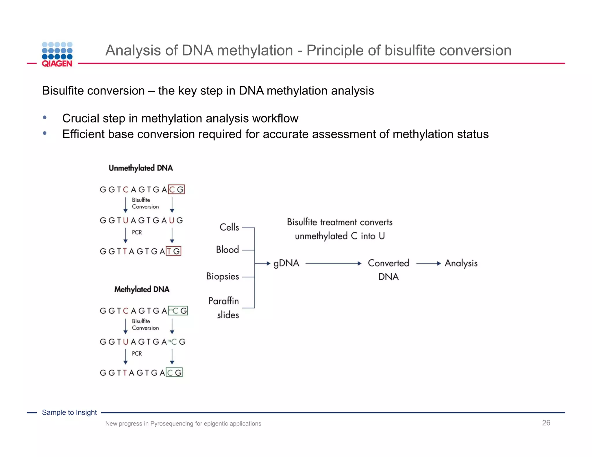 Sample to Insight
Outline
New progress in Pyrosequencing for epigentic applications 3
Challenges in Pyrosequencing DNA methylation
analysis
Pyrosequencing technology and workflow
"Advanced Pyrosequencing" technology
Introduction into the new PyroMark Q48 Autoprep
 