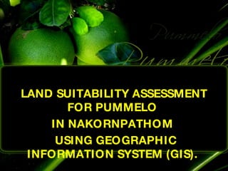 LAND SUITABILITY ASSESSMENT FOR PUMMELO  IN NAKORNPATHOM  USING GEOGRAPHIC INFORMATION SYSTEM (GIS).   