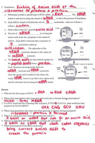 Newproteinreviewsheet