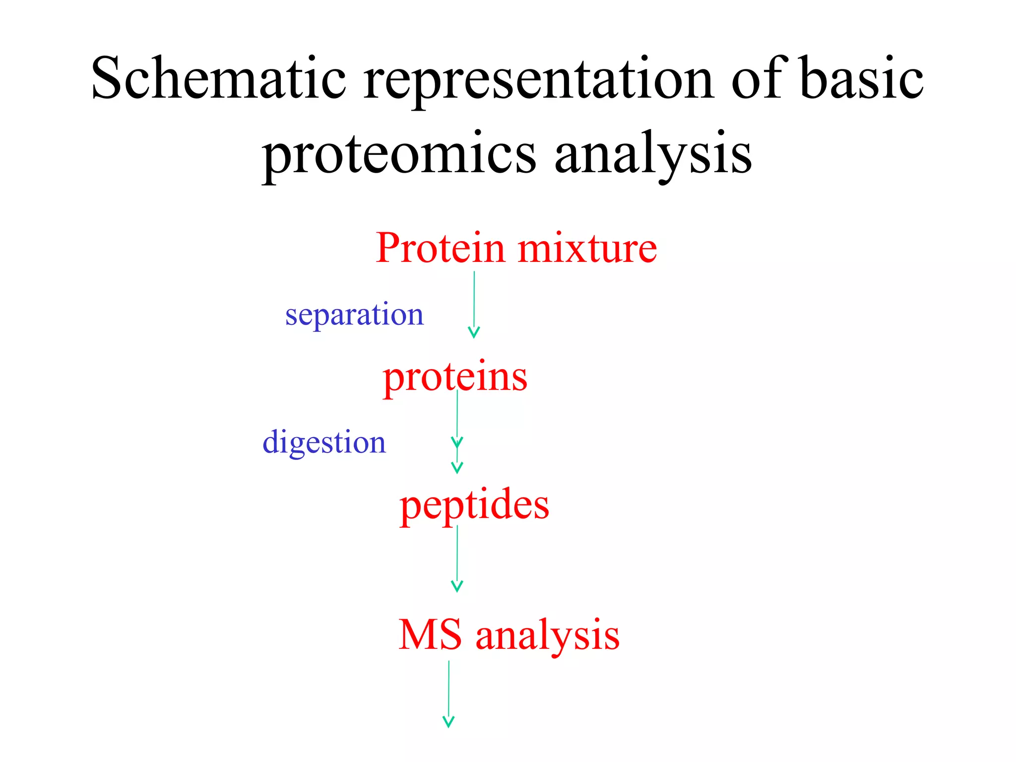 Schematic representation of basic
     proteomics analysis
              Protein mixture
       separation
              proteins
      digestion
                  peptides

                  MS analysis
 