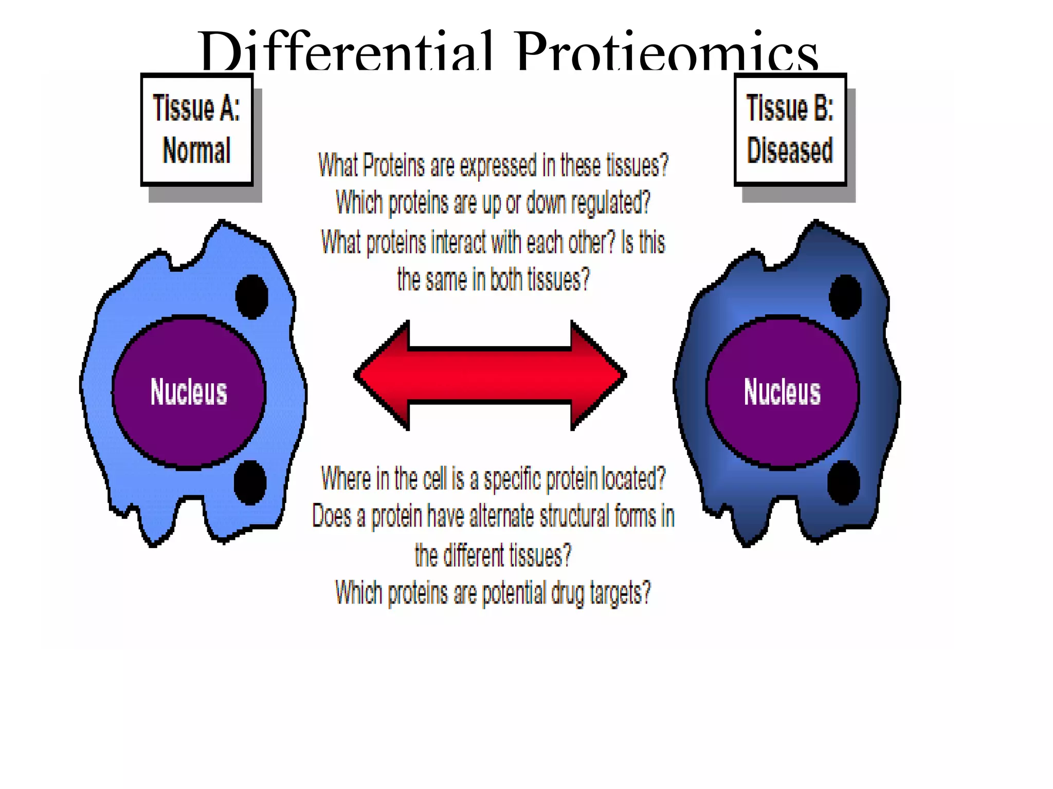 Differential Protieomics
 
