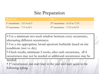 Site Preparation
Herbicide                             Till
1st occurrence - 5/1 to 6/1           2nd occurrence - 6/15 to 7/15
3rd occurrence - 7/1 to 8/1           4th occurrence - 7/15 to 8/15


• Use a minimum two-week window between every occurrence,
alternating different occurrences.
• Use a site-appropriate, broad spectrum herbicide based on site
conditions (wet vs. dry)
• Check results, minimum 2 weeks, after each occurrence, all 4
occurrences may not be needed or additional occurrences may be
needed.
• 1st occurrences can start later in the year and start again in the
following spring.
 