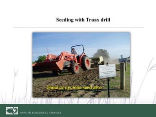 Seeding with Truax drill




Hand or cyclone seed also
 