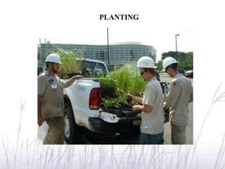 PLANTING
 