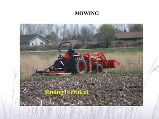 MOWING




Timing is critical
 