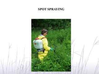 SPOT SPRAYING
 