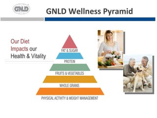 GNLD Wellness Pyramid


Our Diet
Impacts our
Health & Vitality
 