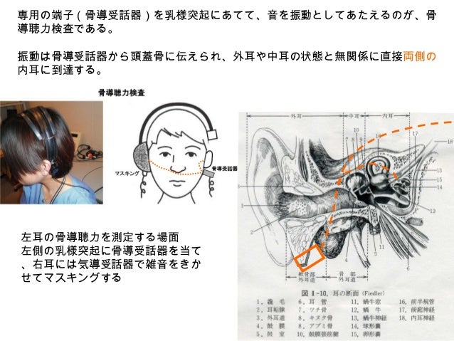 新人研修 純音聴力検査