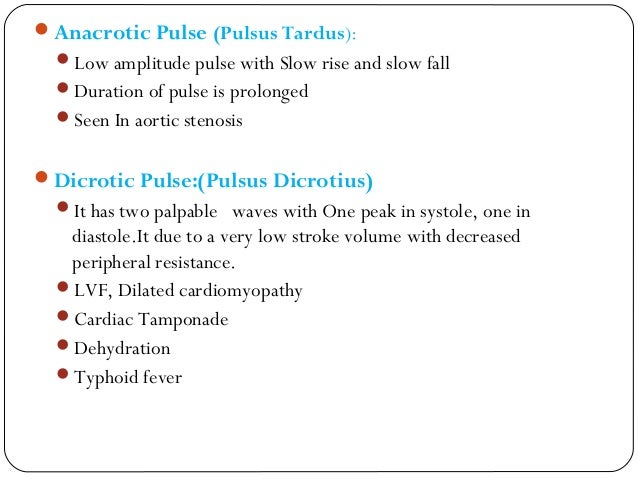 Types Of Arterial Pulses