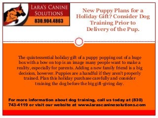 New Puppy Plans for a 
Holiday Gift? Consider Dog 
Training Prior to 
Delivery of the Pup. 
The quintessential holiday gift of a puppy popping out of a huge 
box with a bow on top is an image many people want to make a 
reality, especially for parents. Adding a new family friend is a big 
decision, however. Puppies are a handful if they aren't properly 
trained. Plan this holiday purchase carefully and consider 
training the dog before the big gift-giving day. 
For more information about dog training, call us today at (830) 
743-4119 or visit our website at www.larascaninesolutions.com 
 
