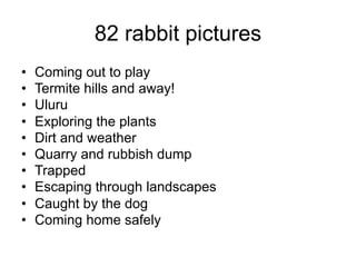 82 rabbit pictures
•   Coming out to play
•   Termite hills and away!
•   Uluru
•   Exploring the plants
•   Dirt and weather
•   Quarry and rubbish dump
•   Trapped
•   Escaping through landscapes
•   Caught by the dog
•   Coming home safely
 