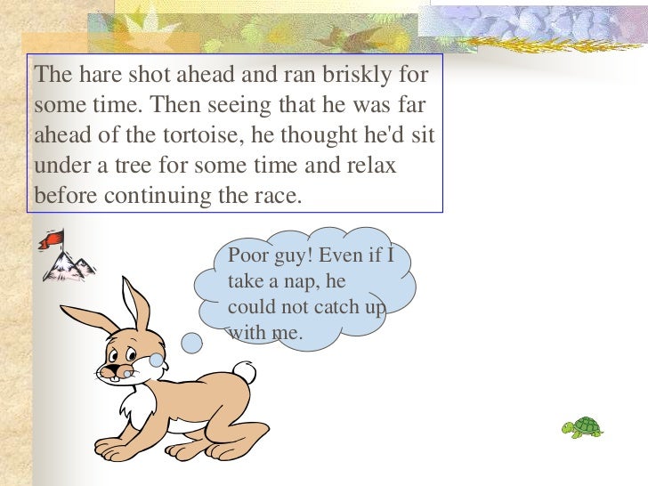 new rabbit tortoise story new rabbit tortoise story