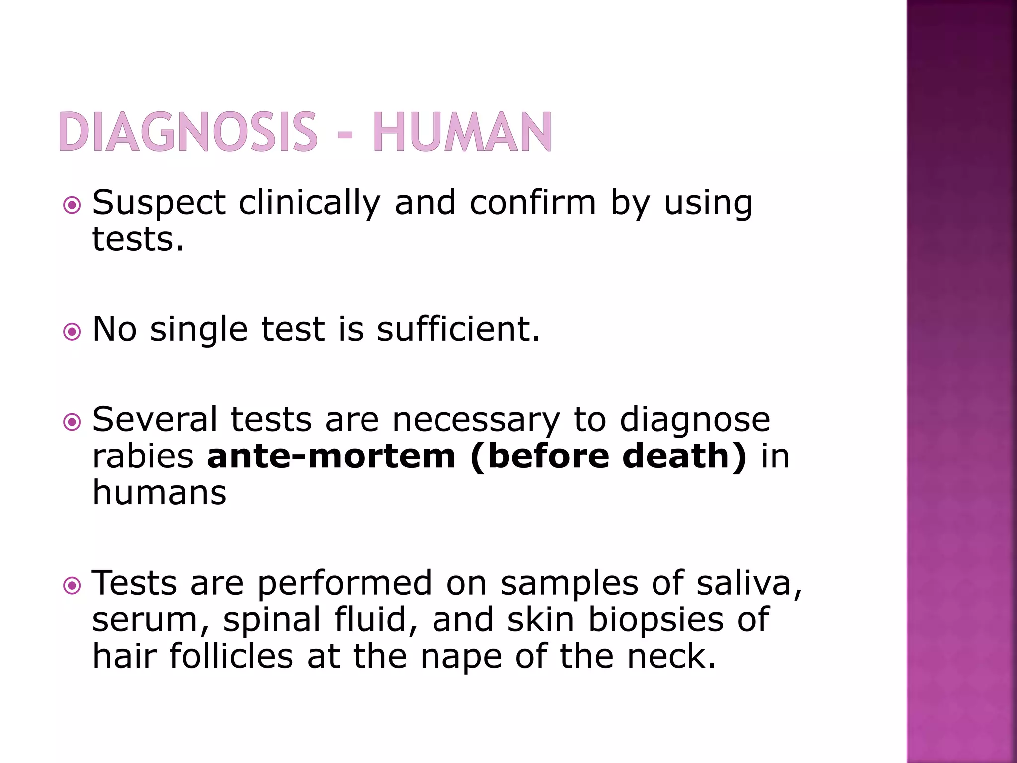 Epidemiology, Disease and Preventive Strategies of Rabies | PPTX