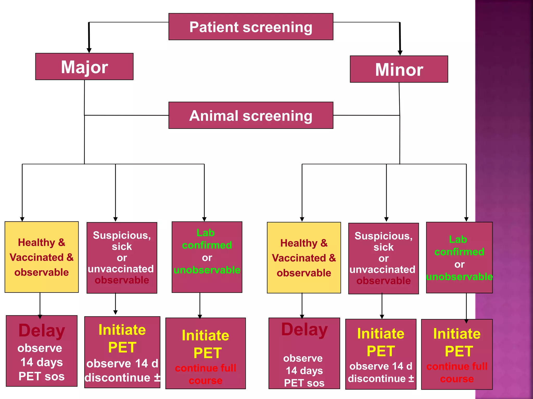 Epidemiology, Disease and Preventive Strategies of Rabies | PPTX