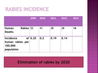 Human Rabies Statistics Epidemiology, Disease and Preventive Strategies of Rabies | PPTX