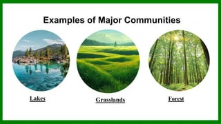 New Revise - 2nd Sem- S.Y.2023-2024, Forms of Biodiversity - Community ...