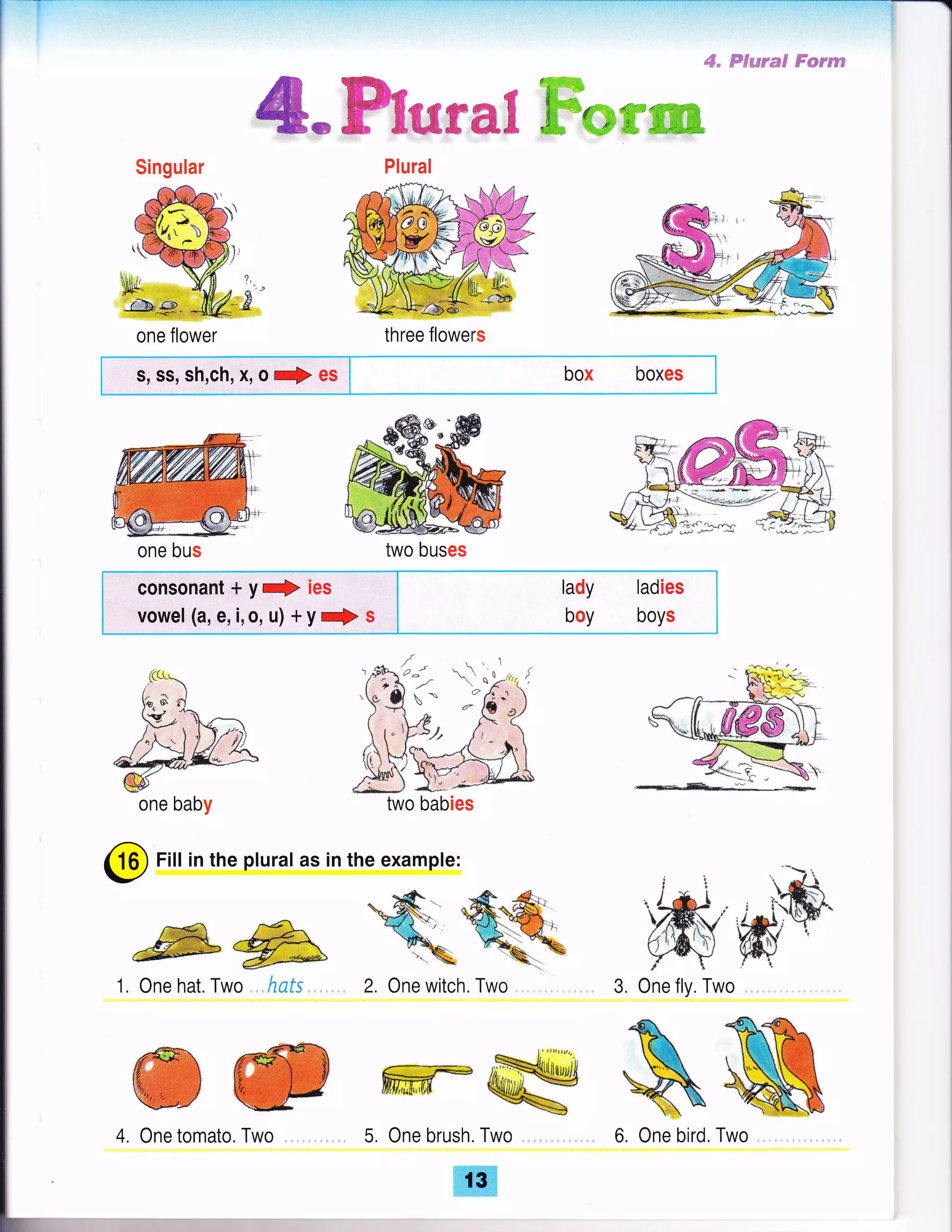 €. ffiFm,mr*F ff*sse
@*ffiwrex ffiwffi
Singular
one flower
s, ss, sh,ch, x, o f es box boxes
consonant + yf ies
vowel (a, e, i, o, u) + y ] s
lady
boy
ladies
boys
two babies
@
Fill in the plural as in the example:
1, One hat, Two ...hats 2. One witch, Two 3. One fly, Two
ffiwOne tomato, Two
ffiTwo
&6. One bird
one bus two buses
one baby
5. One brush. Two ,
 