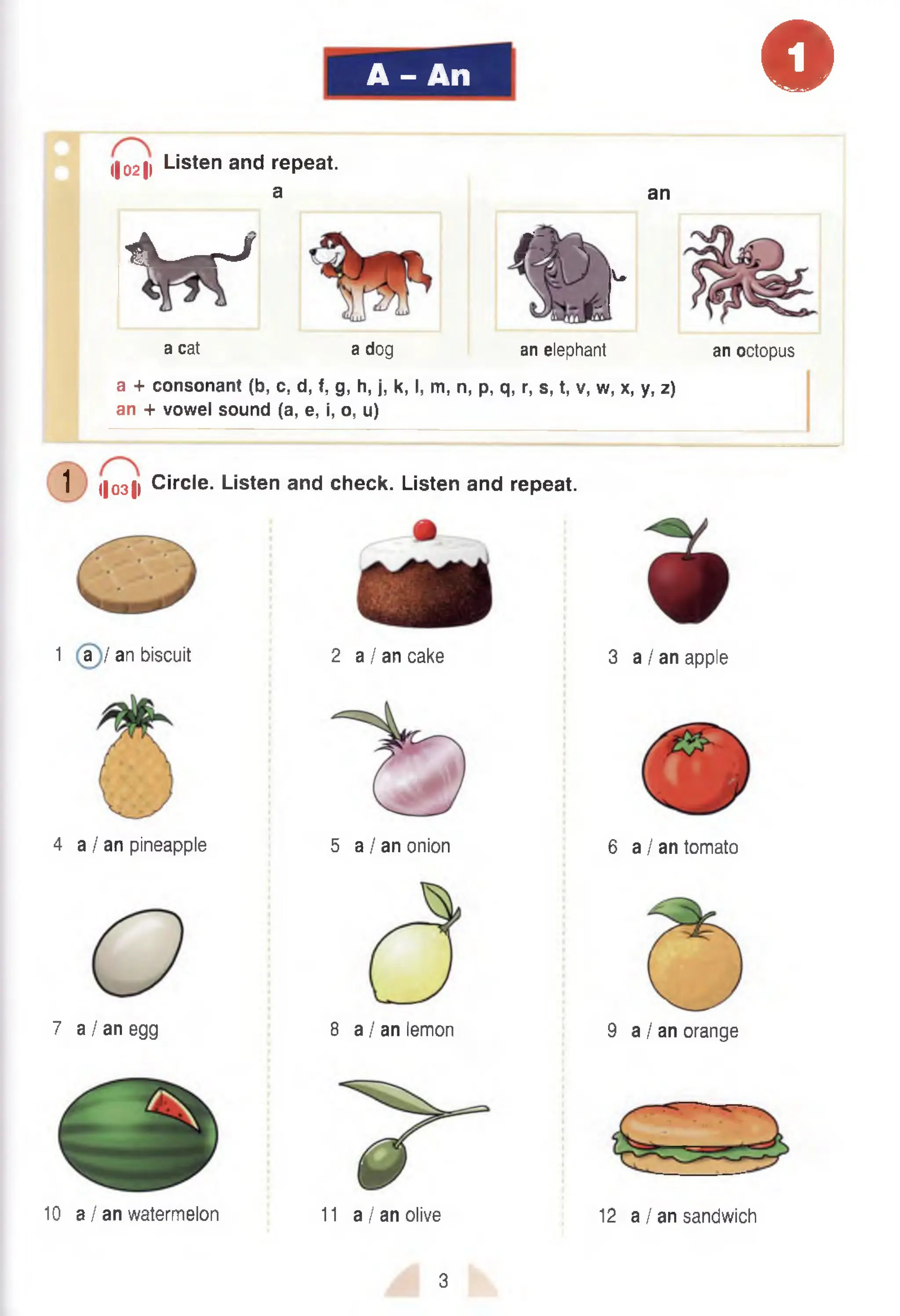 A - An o
l|02|| Listen and repeat.
a an
i - J
A'—
' A a
a
r /A
u
i*
''
a cat a dog an elephant an octopus
a + consonant (b, c, d, f, g, h, j, k, I, m, n, p, q, r, s, t, v, w, x, y, z)
an + vowel sound (a, e, i, o, u)
1 ||03|) Circle. Listen and check. Listen and repeat.
1 a I an biscuit 2 a / an cake 3 a I an apple
4 a / an pineapple
7 a / an egg 8 a I an lemon 9 a
12 a I an sandwich
5 a I an onion 6 a / an tomato
/ an orange
10 a / an watermelon 1
1 a / an olive
3
 