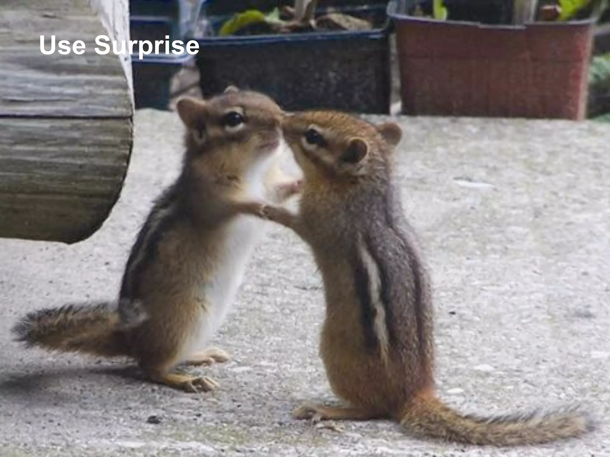 Use Surprise 