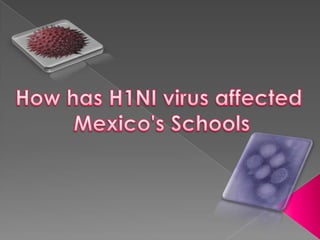 How has H1NI virus affected  Mexico&apos;s Schools 
