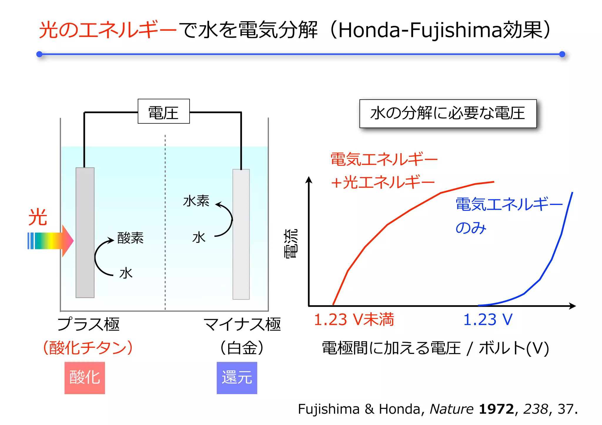 光のエネルギーで⽔を電気分解（Honda-Fujishima効果）
Fujishima & Honda, Nature 1972, 238, 37.
酸素
⽔
電圧
⽔素
⽔
プラス極
（酸化チタン）
マイナス極
（⽩⾦）
光
電極間に加える電圧 / ボルト(V)
電流
1.23 V
電気エネルギー
のみ
電気エネルギー
+光エネルギー
1.23 V未満
⽔の分解に必要な電圧
酸化 還元
 