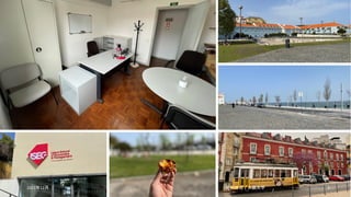 2021年12月 安田洋祐｜大阪大学 3
 