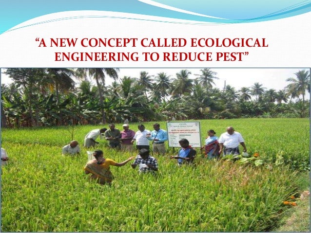 ecological engineering