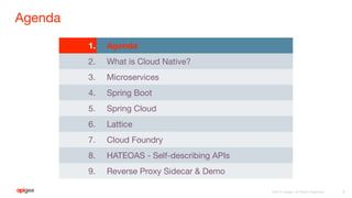 ©2015 Apigee. All Rights Reserved.
Agenda
4
1. Agenda
2. What is Cloud Native?
3. Microservices
4. Spring Boot
5. Spring Cloud
6. Lattice
7. Cloud Foundry
8. HATEOAS - Self-describing APIs
9. Reverse Proxy Sidecar & Demo
 